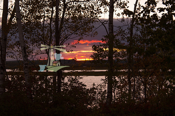 Through the Trees