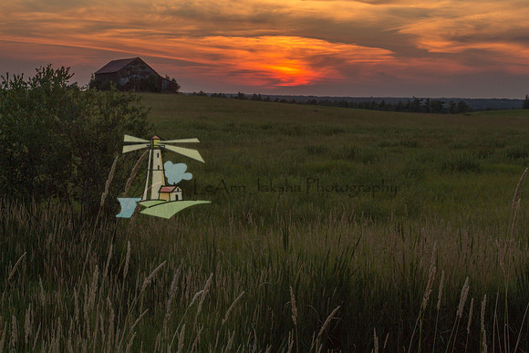 August Sunset III