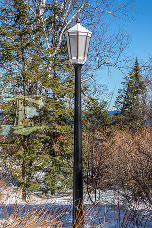 Street Lamp in the Woods