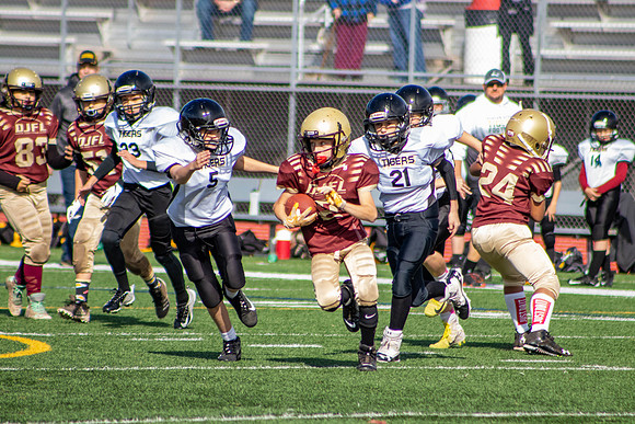 5/6 Championship