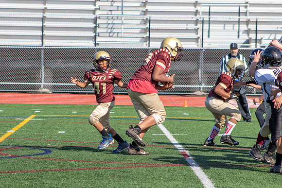 5/6 Championship