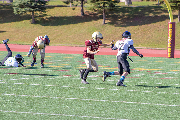 5/6 Championship