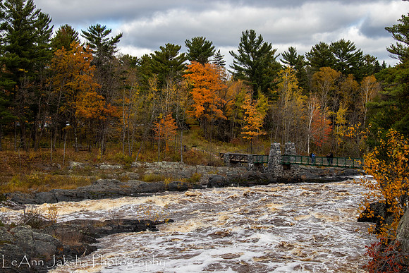 Swinging Bridge