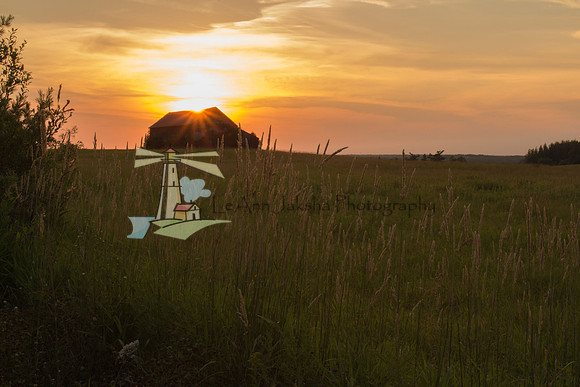 August Sunset