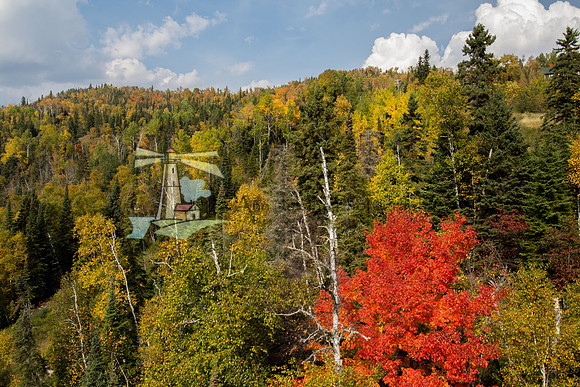 Fall Colors